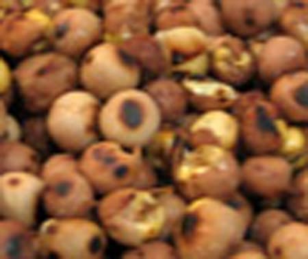 צילום ש. יצחקי