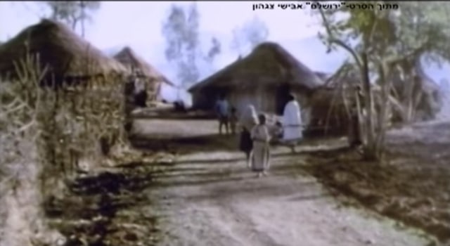 תמונה - צילום מסך