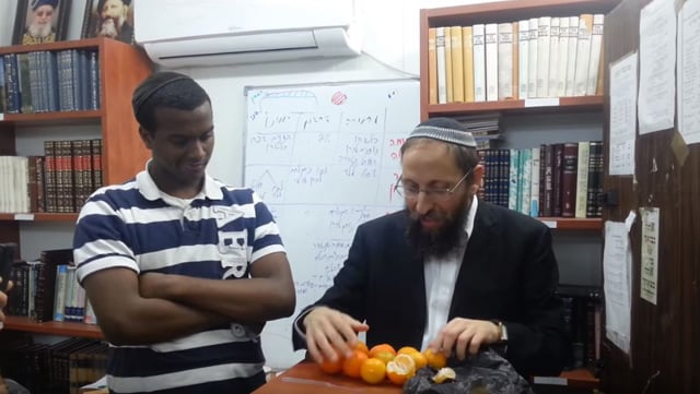 צילום מסך