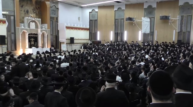 הינוקא : צילום מסך