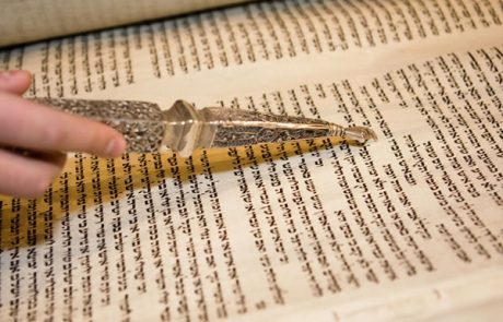 תפארת הקריאה בפרשת בא