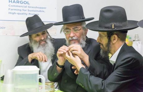 ביקור בחווה לגידול חגבים במושב אליפלט שבצפון הארץ – תעשיית החגבים בארץ בתנופה ?