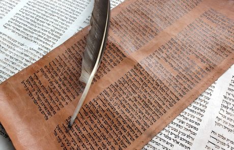 תפארת הקריאה בפרשת נח