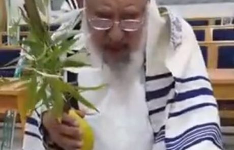 מארי סאלם נגאר זצ"ל בקטע מתוך הושענה רבה