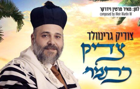 צודיק גרינוולד שר וידרקר – צדיק כתמר