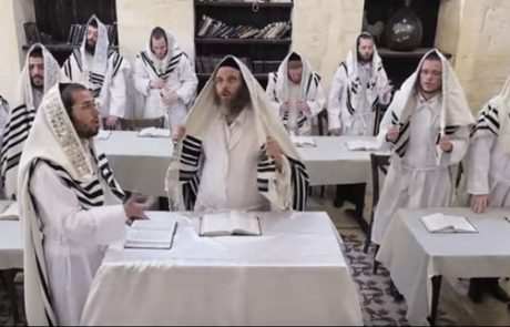 דודי קאליש, ארי היל ומקהלת קולות שרים "אלו ואלו"