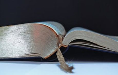 הלכה יומית